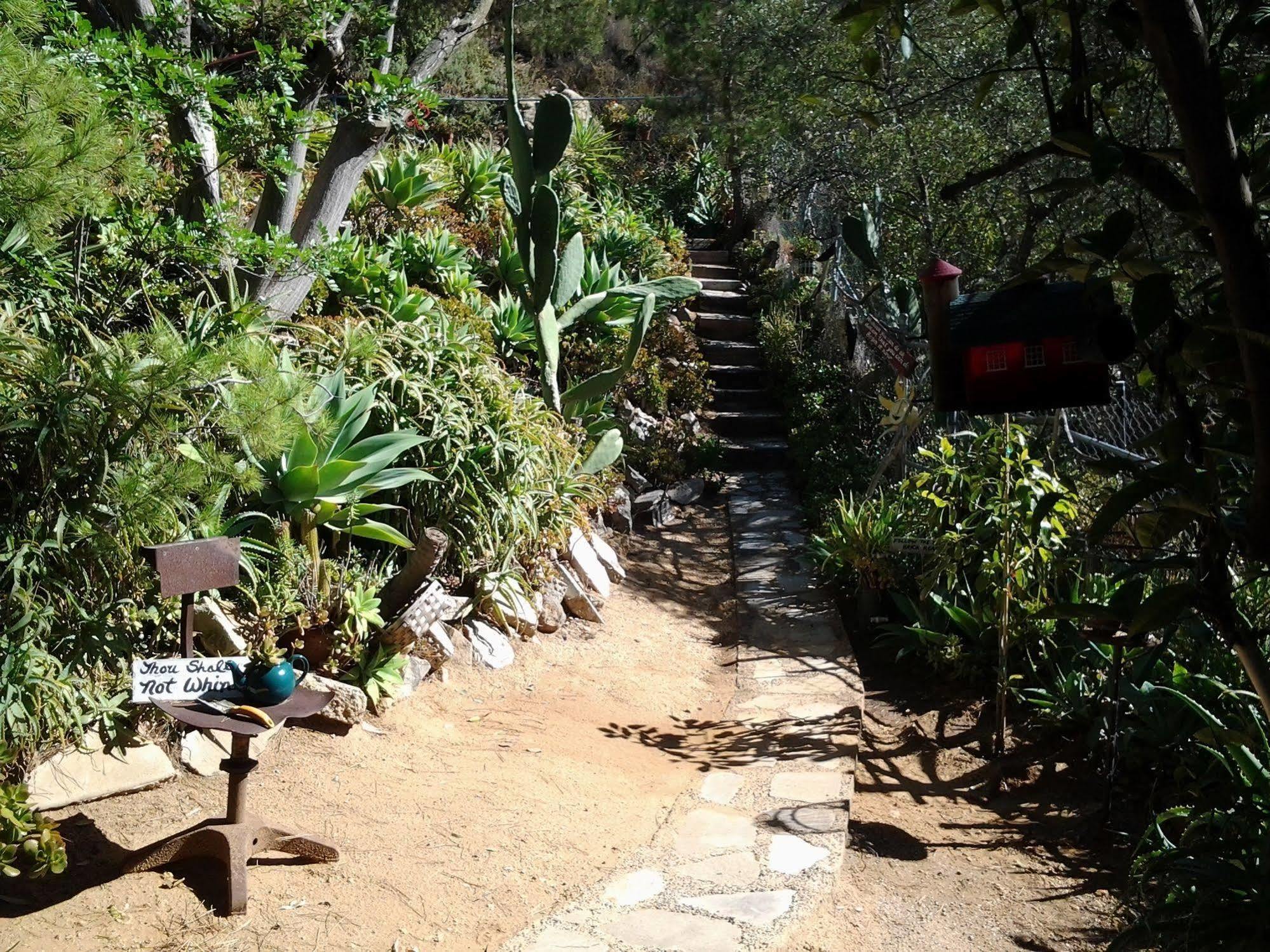 Rainbow Guest House 弗布鲁克 外观 照片